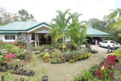 FOR SALE Beautiful Mountain House in Sirao Cebu